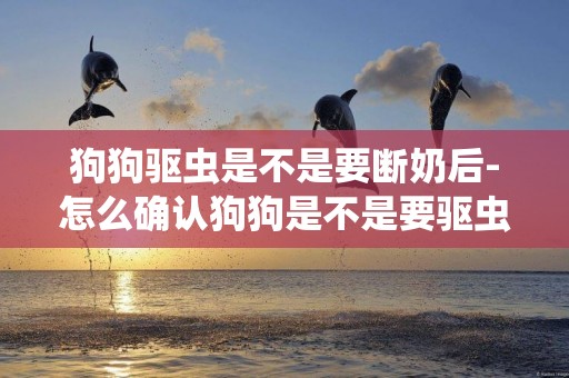狗狗驅蟲是不是要斷奶后-怎么確認狗狗是不是要驅蟲