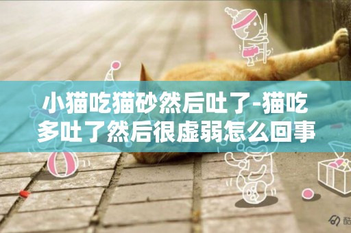 小貓吃貓砂然后吐了-貓吃多吐了然后很虛弱怎么回事