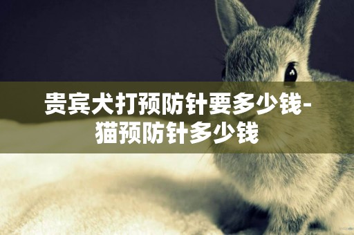 貴賓犬打預防針要多少錢-貓預防針多少錢