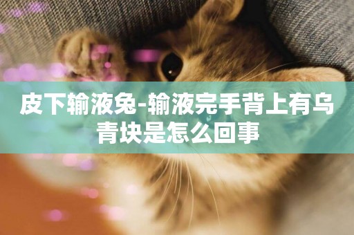皮下輸液兔-輸液完手背上有烏青塊是怎么回事