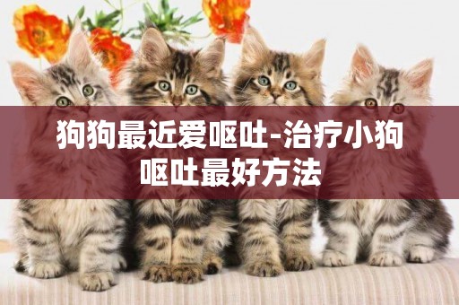 狗狗最近愛嘔吐-治療小狗嘔吐最好方法