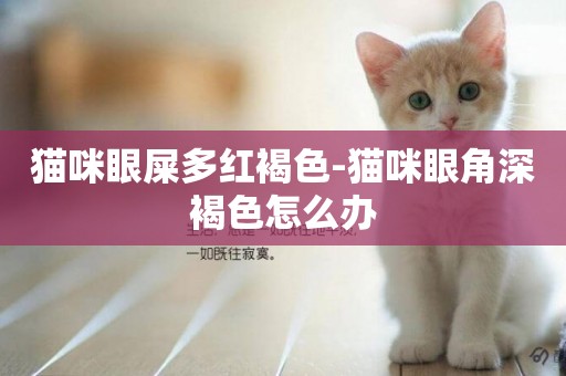 貓咪眼屎多紅褐色-貓咪眼角深褐色怎么辦