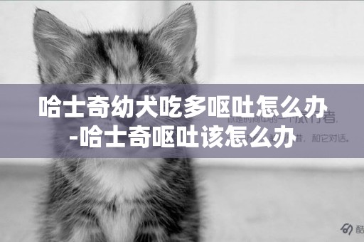 哈士奇幼犬吃多嘔吐怎么辦-哈士奇嘔吐該怎么辦