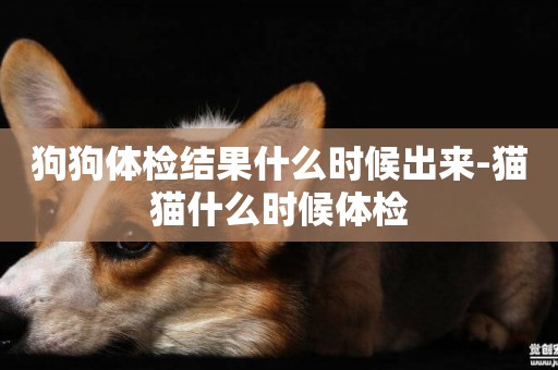 狗狗體檢結果什么時候出來-貓貓什么時候體檢