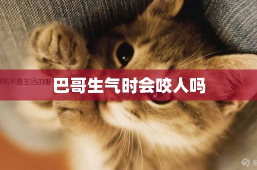 巴哥生氣時會咬人嗎