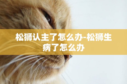 松獅認主了怎么辦-松獅生病了怎么辦
