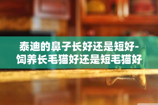 泰迪的鼻子長好還是短好-飼養長毛貓好還是短毛貓好