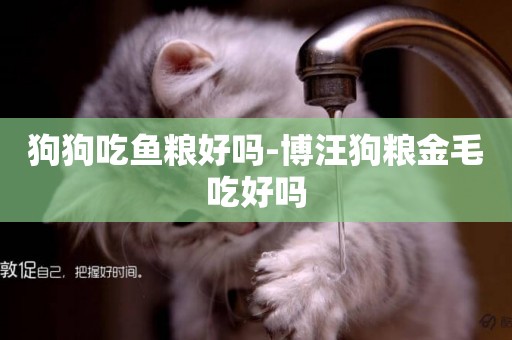 狗狗吃魚糧好嗎-博汪狗糧金毛吃好嗎