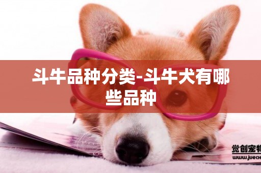 斗牛品種分類-斗牛犬有哪些品種