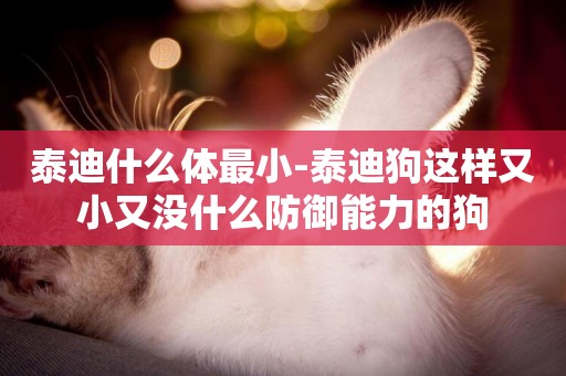 泰迪什么體最小-泰迪狗這樣又小又沒什么防御能力的狗