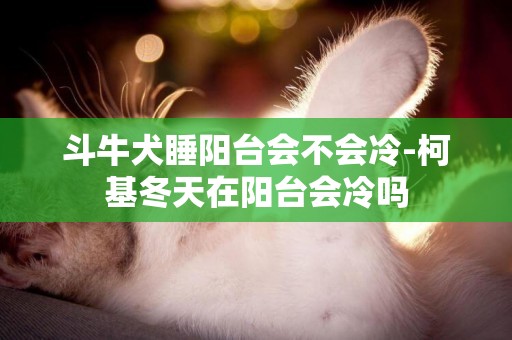 斗牛犬睡陽臺會不會冷-柯基冬天在陽臺會冷嗎