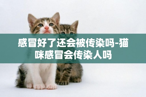 感冒好了還會被傳染嗎-貓咪感冒會傳染人嗎
