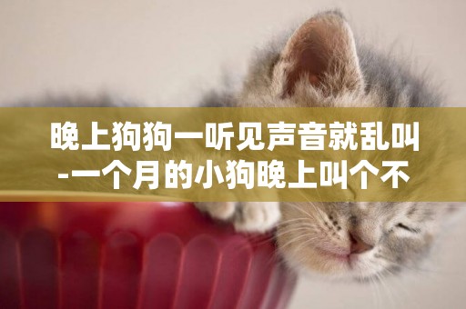 晚上狗狗一聽見聲音就亂叫-一個月的小狗晚上叫個不停怎么辦