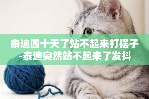 泰迪四十天了站不起來打擺子-泰迪突然站不起來了發抖