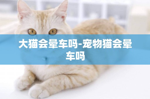 大貓會暈車嗎-寵物貓會暈車嗎