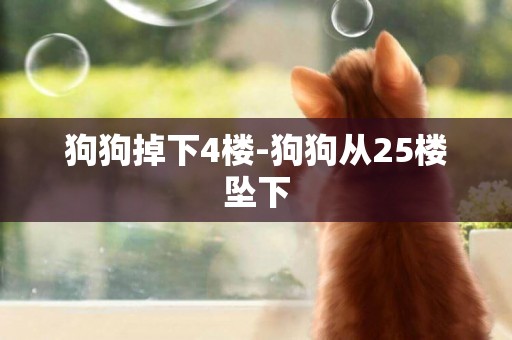 狗狗掉下4樓-狗狗從25樓墜下