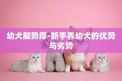 幼犬腳勢厚-新手養幼犬的優勢與劣勢