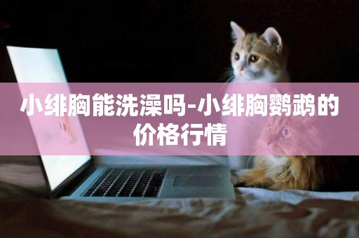 小緋胸能洗澡嗎-小緋胸鸚鵡的價格行情