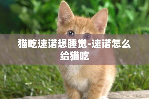 貓吃速諾想睡覺-速諾怎么給貓吃