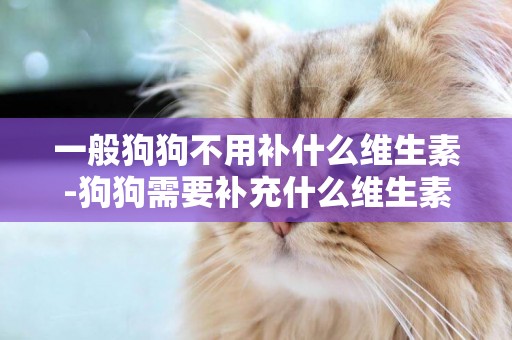 一般狗狗不用補什么維生素-狗狗需要補充什么維生素