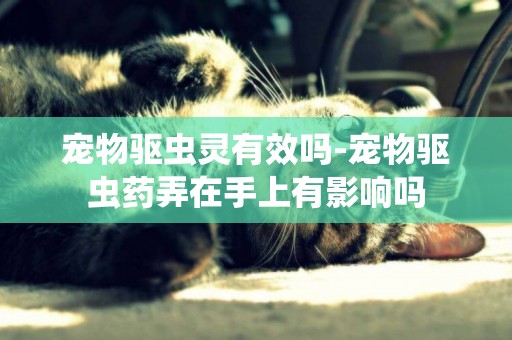 寵物驅蟲靈有效嗎-寵物驅蟲藥弄在手上有影響嗎