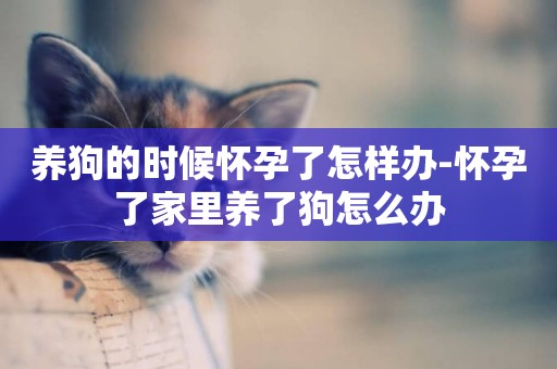 養狗的時候懷孕了怎樣辦-懷孕了家里養了狗怎么辦