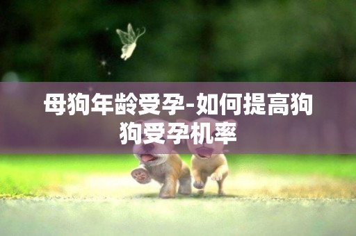 母狗年齡受孕-如何提高狗狗受孕機率