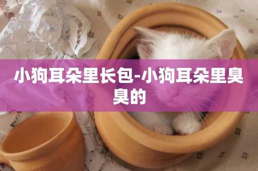 小狗耳朵里長包-小狗耳朵里臭臭的
