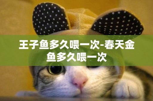 王子魚多久喂一次-春天金魚多久喂一次