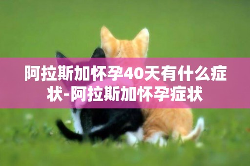 阿拉斯加懷孕40天有什么癥狀-阿拉斯加懷孕癥狀