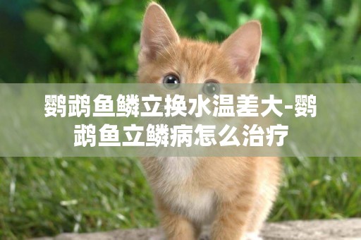 鸚鵡魚鱗立換水溫差大-鸚鵡魚立鱗病怎么治療