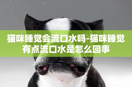 貓咪睡覺會流口水嗎-貓咪睡覺有點流口水是怎么回事