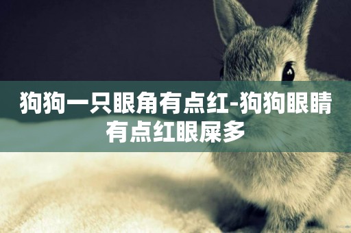 狗狗一只眼角有點紅-狗狗眼睛有點紅眼屎多