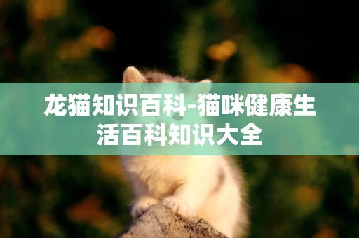 龍貓知識百科-貓咪健康生活百科知識大全