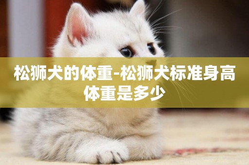 松獅犬的體重-松獅犬標準身高體重是多少