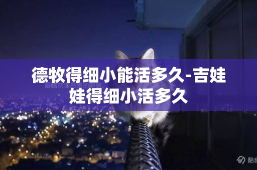 德牧得細小能活多久-吉娃娃得細小活多久