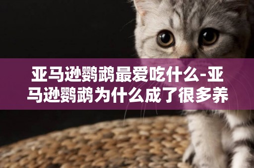 亞馬遜鸚鵡最愛吃什么-亞馬遜鸚鵡為什么成了很多養鳥人得不到的鸚鵡夢