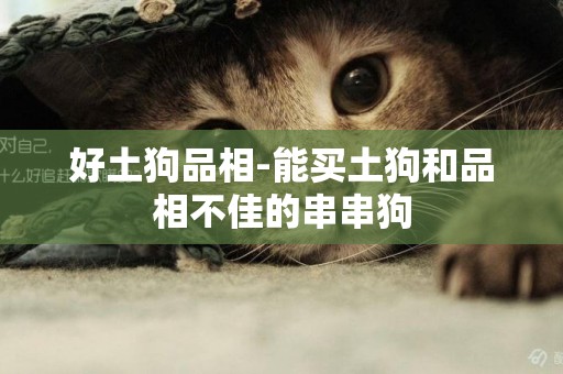 好土狗品相-能買土狗和品相不佳的串串狗