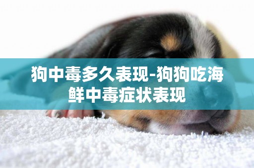 狗中毒多久表現-狗狗吃海鮮中毒癥狀表現