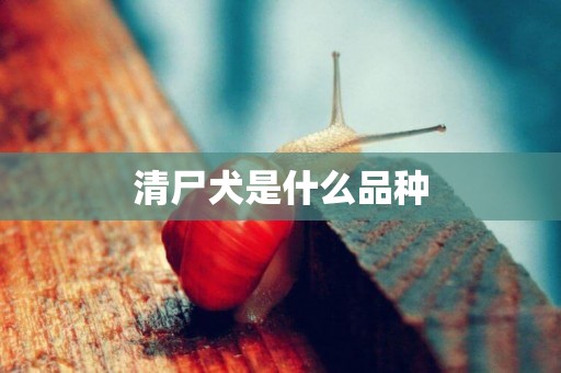 清尸犬是什么品種