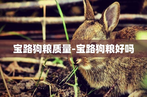 寶路狗糧質量-寶路狗糧好嗎