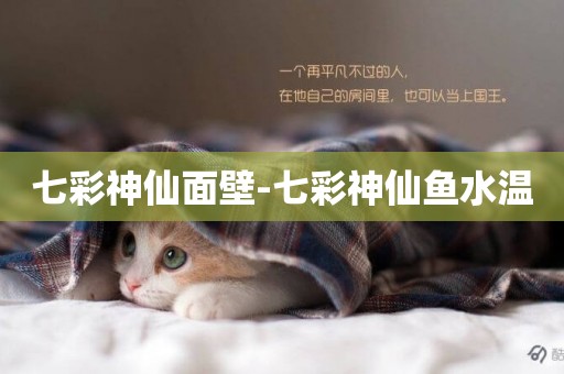 七彩神仙面壁-七彩神仙魚水溫