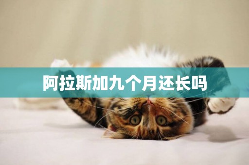 阿拉斯加九個月還長嗎