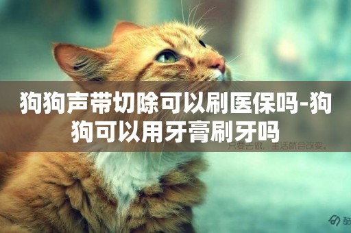 狗狗聲帶切除可以刷醫保嗎-狗狗可以用牙膏刷牙嗎