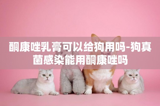 酮康唑乳膏可以給狗用嗎-狗真菌感染能用酮康唑嗎