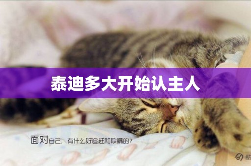 泰迪多大開始認主人