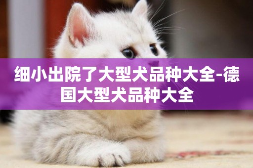 細小出院了大型犬品種大全-德國大型犬品種大全