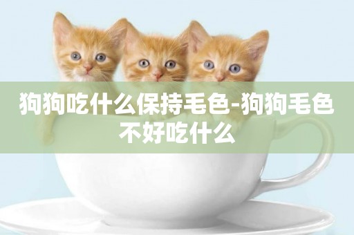 狗狗吃什么保持毛色-狗狗毛色不好吃什么