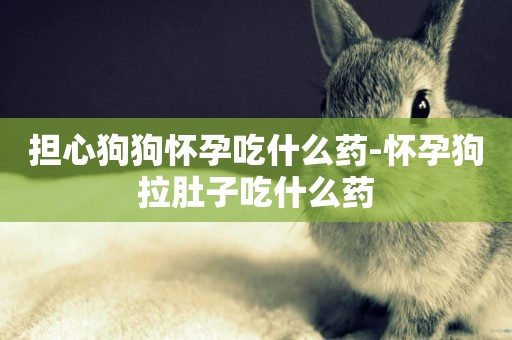 擔心狗狗懷孕吃什么藥-懷孕狗拉肚子吃什么藥