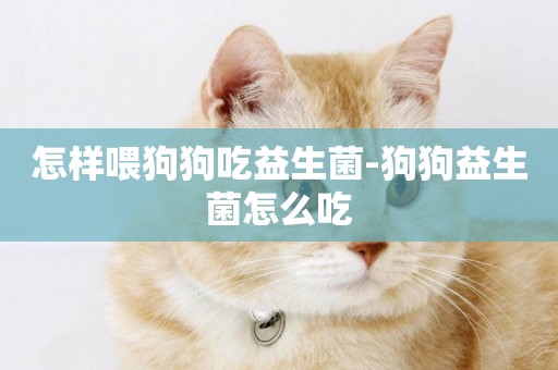 怎樣喂狗狗吃益生菌-狗狗益生菌怎么吃